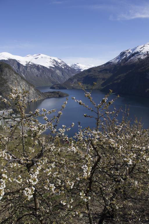 Valldal Camping Exterior foto